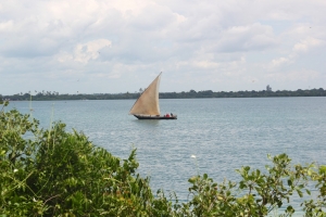Silent Comfort In Tanzania